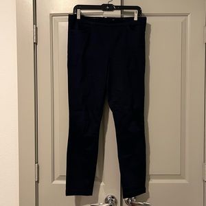 JCrew Navy Dannie Pant